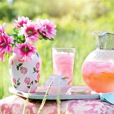 金博宝官网截图